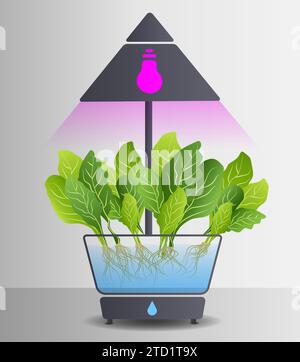 Portable hydroponic aeroponic system for eco-friendly growing of green lettuce, vegetables and herbs. With automatic watering system and purple phyto Stock Vector