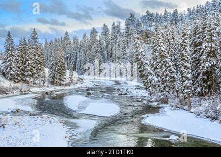 lamar river above slough creek in winter in yellowstone national park, wyoming Stock Photo