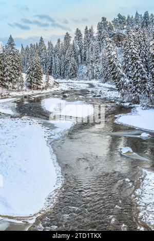 lamar river above slough creek in winter in yellowstone national park, wyoming Stock Photo