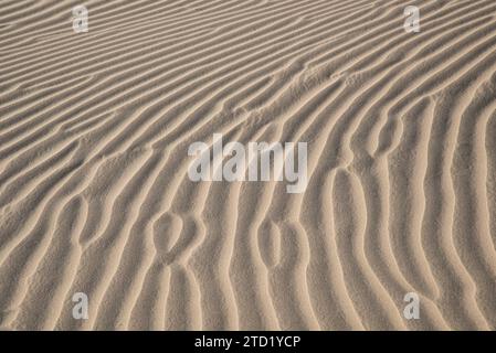 Sand ripples at Eureka Dunes in Death Valley National Park, California. Stock Photo