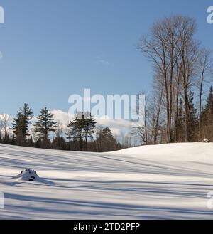 Light and shadows on a snowy field in Muskoka Stock Photo