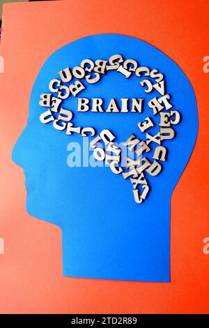 Diagram showing the human brain using a wooden panel Stock Photo