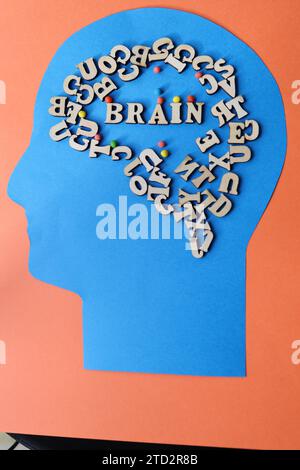 Diagram showing the human brain using a wooden panel Stock Photo