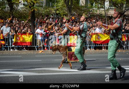 Madrid, 10/12/2019. Military parade on the Twelfth of October, for Hispanic Heritage Day. Photo: Maya balanya ARCHDC. Credit: Album / Archivo ABC / Maya Balanya Stock Photo