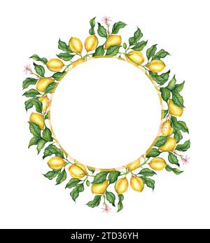 Watercolor illustration of a round frame of ripe, yellow, juicy lemons, flowers, buds and daisies. Tropical wreath isolated on white background. Delic Stock Photo