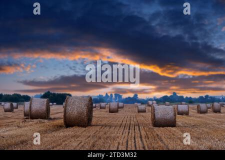 The sun setting behind an agricultural expanse adorned with rounded hay bundles. Rural landscape with straw rolls and dramatic sunset sky Stock Photo
