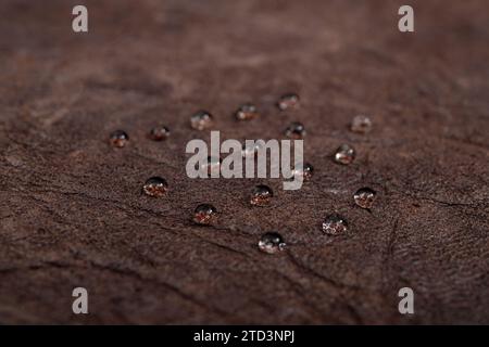 Round water drops on dark brown leather texture, side view, soft focus macro Stock Photo
