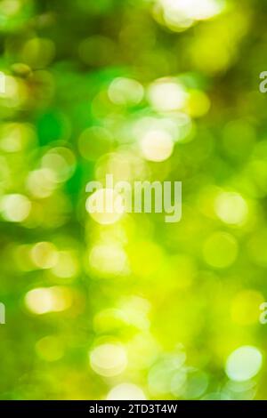 Bright green summerly bokeh Stock Photo