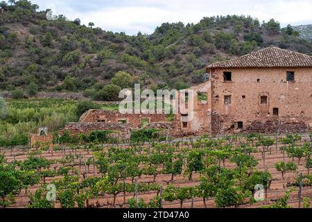 Experience stunning vineyard landscapes in the Priorat wine region, Catalonia. Located in the province of Tarragona, it captivates with its beauty Stock Photo