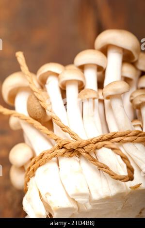 Bunch of fresh wild mushrooms on a rustic wood table tied with a rope Stock Photo