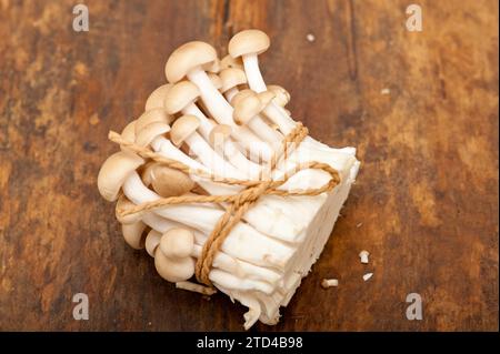 Bunch of fresh wild mushrooms on a rustic wood table tied with a rope Stock Photo