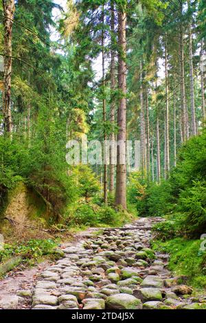 Eulentike hiking trail in the Schrammstein area in the back of Saxon Switzerland Stock Photo