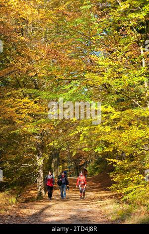 Hikers in the Schrammstein area in the back of Saxon Switzerland Stock Photo