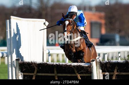 Doncaster, UK. 16th December, 2023. Doncaster, Yorkshire, United Kingdom; Whispering Royal and jockey Tom Cannon win the opener on the second day of the Christmas Racedays at Doncaster Racecourse, the bet365 Juvenile Maiden Hurdle, for trainer Alan King and owner Chelsea Thoroughbreds - Whispering Royal. Credit JTW Equine Images / Alamy Live News. Credit: JTW Equine Images/Alamy Live News Stock Photo