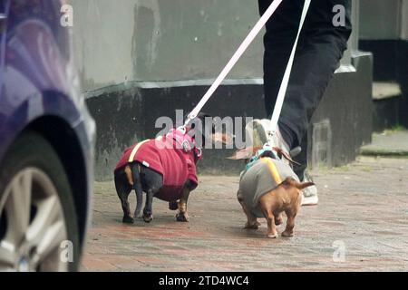 High Street, Godalming. 16th December 2023. A cold and cloudy morninig across the Home Counties. People Christmas shopping in Godalming in Surrey. Credit: james jagger/Alamy Live News Credit: james jagger/Alamy Live News Stock Photo