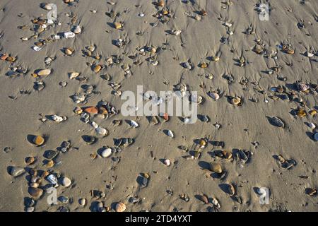 pebbles and stones in sand at beach. Stock Photo