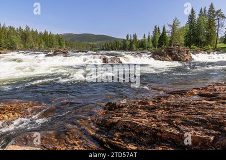 A sun-drenched summer day reveals the Namsen River in Namsskogan, Norway, cascading over rocks with solitary trees, flanked by dense forest Stock Photo