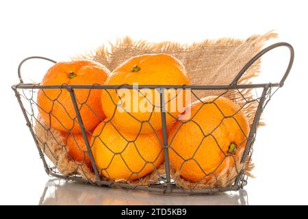 Several juicy sweet tangerines in a basket, macro, isolated on white background. Stock Photo