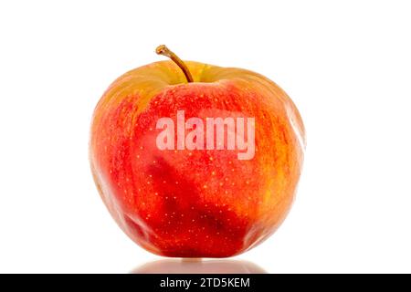 One overripe apple, macro, isolated on white background. Stock Photo