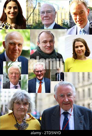 Liberal Democrats. Leaders and prominent members of the Liberal Democrat party. Lib Dem MPS. Top left to right Luciana Berger. Ming Campbell. Tim Farron. Vince Cable. Sir Ed Davey. Jo Swinson. Paddy Ashdown. Sir Norman Lamb. Charles Kennedy. Lord and lady Steel. Stock Photo