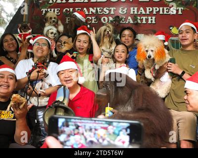 Malabon Zoo Founder, Manny Tangco With "Marimar" The Orangutan Pose For ...