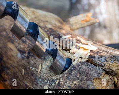 Twist drill makes a hole in a log Stock Photo