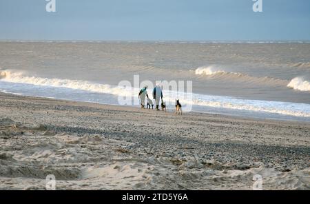 Dog walkers on the North West coast, Lancashire, United Kingdom, Europe Stock Photo