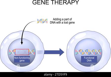 Gene Therapy. Medical technology manipulation of gene expression for altering the biological properties of living cells. Genetic Engineering. Genome E Stock Vector