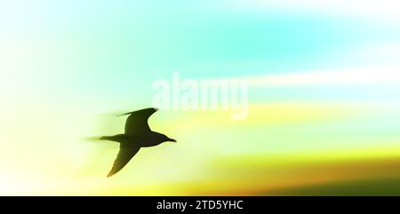 rapid bird rushing in sunset sky with blurry motion Stock Photo