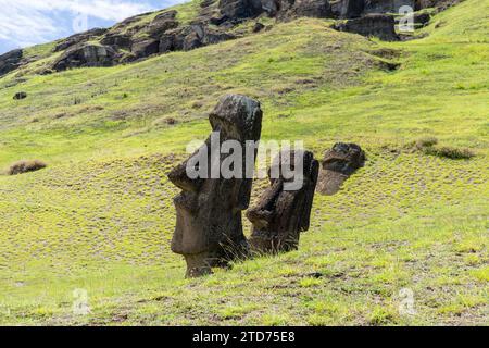 Easter Island, Chile - February 28, 2023: Moai heads on the slope of Rano Raraku on Easter Island (Rapa Nui),  Chile. Stock Photo