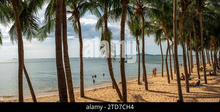 Pattaya, Thailand - December 15, 2023: Jomtien Beach is one of the areas of Pattaya. Vacationing tourists on the sand under palm trees on Jomtien Beac Stock Photo