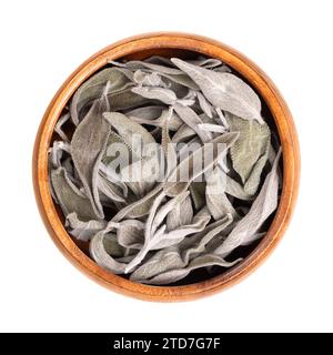 Dried sage leaves, in a wooden bowl. Common sage, Salvia officinalis. Grayish green herb with velvety leaves. Spice, medicinal plant, as incense. Stock Photo