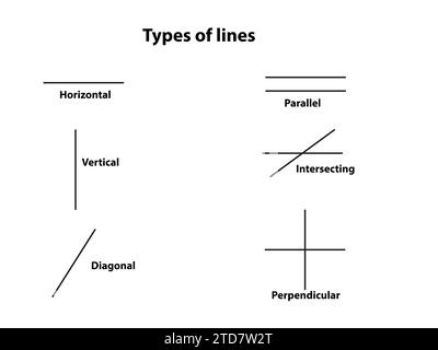 Types of lines on white background with text Stock Vector
