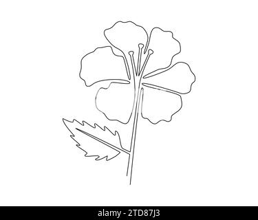 Continuous one line drawing of hibiscus flower. Vector illustration Stock Vector