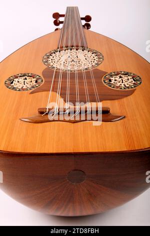 Egyptian Oud. 11 string with highly decorated soundholes. String ...