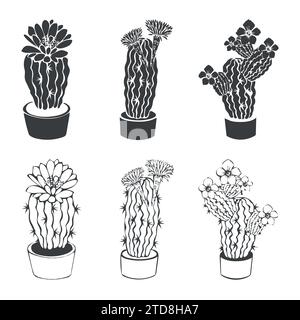 Vector collection of hand drawn cactus with flower sketch set collection in doodle style isolated on a white background. Stock Vector