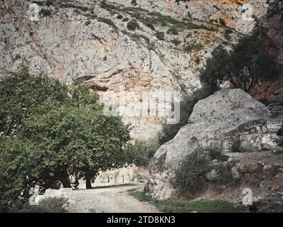 Surroundings of Delphi, Greece Bend in the Arakhova Pass road. Rocks with recent white inscriptions. On the left, two large plane trees, HD, Nature, Environment, Mount, mountain, Plane tree, exists in high definition, Writing, Vegetation, botany, Greece, Delphi, Rocks with white inscriptions; Olive trees above and plane trees on the left, Delphes [environs], 11/10/1913 - 13/10/1913, Léon, Auguste, photographer, 1913 - Balkans, Italy - Léon Busy and Auguste Léon - (September - 23 October), Autochrome, photo, Glass, Autochrome, photo, Positive, Horizontal Stock Photo