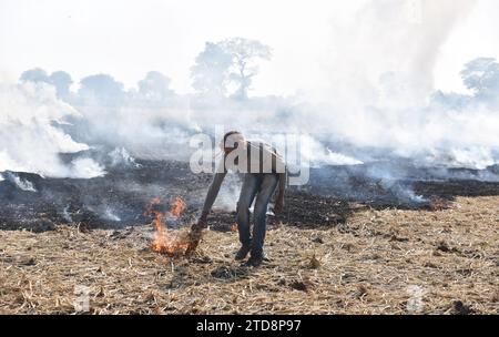 A farmer burns straw stubble after a harvest in a paddy field on the outskirts of Jabalpur, on Saturday, December 16, 2023. - Stock Photo