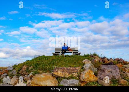 Tourist viewpoint on a hill with senior female hiker sitting next to her dachshund taking a break, Belgian nature reserve De Wissen, sunny day with bl Stock Photo