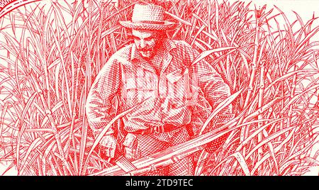 Ernesto Che Guevara harvesting sugar cane. Drawing from a Cuban 3 pesos banknotes Stock Photo