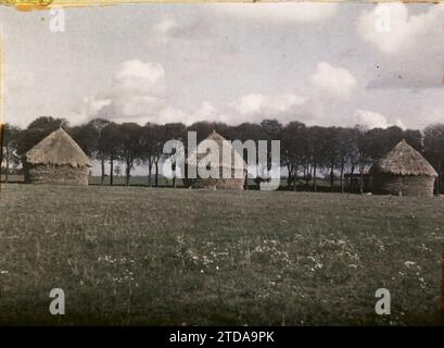 Moisselles, France, Nature, Environment, Economic activity, Landscape, Agriculture, livestock, Hay, Field, Seine et Oise, Moisselles, Group of wheat stacks on the edge of an avenue of trees, Moisselles, 21/10/1930 - 21/10/1930, Passet, Stéphane, photographer, 1930 - Ile-de-France - Stéphane Passet - (September-October), Autochrome, photo, Glass, Autochrome, photo, Positive Stock Photo