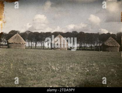 Moisselles, France, Nature, Environment, Economic activity, Landscape, Agriculture, livestock, Hay, Field, Seine et Oise, Moisselles, Group of wheat stacks on the edge of an avenue of trees, Moisselles, 21/10/1930 - 21/10/1930, Passet, Stéphane, photographer, 1930 - Ile-de-France - Stéphane Passet - (September-October), Autochrome, photo, Glass, Autochrome, photo, Positive Stock Photo