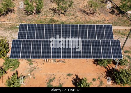 Harvesting the Power of the Sun: Solar Panels Generating Electricity in a Field Stock Photo