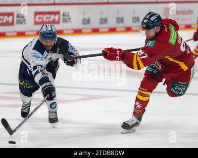 Philip Gogulla (Duesseldorfer EG, 87) hat abgezogen und Colin Ugbekile (Iserlohn Roosters, #79) versucht noch mit seinem Schlaeger den Puk abzuwehren. Duesseldorfer EG vs. Iserlohn Roosters, Eishockey, Penny DEL, 28. Spieltag, Saison 2023/2024, 17.12.2023 Foto: Eibner-Pressefoto/Thomas Haesler Stock Photo