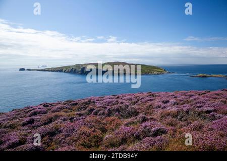 The Calf of Man. Isle of Man, UK. Stock Photo