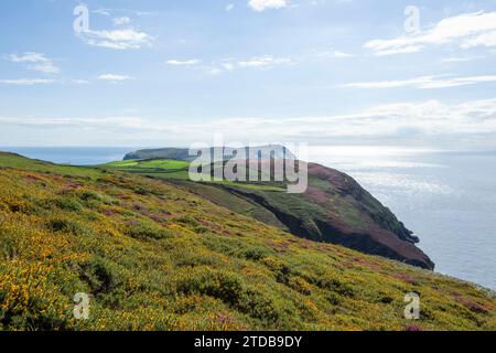 View towards the Calf of Man. Isle of Man, UK. Stock Photo