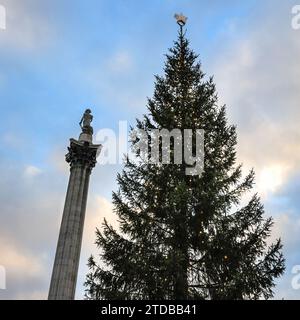 London, UK. 17th Dec, 2023. The Trafalgar Square Christmas tree, a Norwegian spruce that is gifted by the people of Norway every year, with Nelson's column. The Christmas market in front of the National Gallery on Trafalgar Square proves popular with the crowds of tourists and local visitors in search for snacks, hot drinks and handicraft Christmas presents. Credit: Imageplotter/Alamy Live News Stock Photo