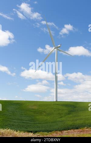 Wind Turbind in green field under blue sky with a few white clouds Stock Photo
