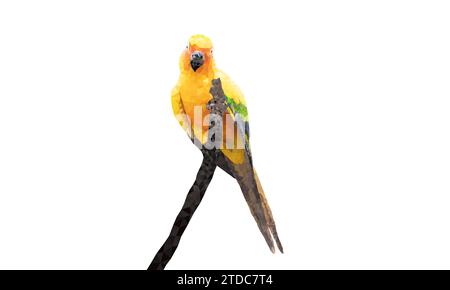 Graphics Polygon Image Parrot sitting on a branch isolated white background  vector illustration Stock Vector
