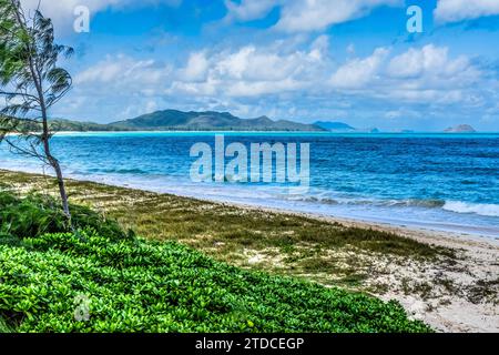 Colorful Kailua Beach Park Shore Windward Side Oahu Hawaii. Stock Photo